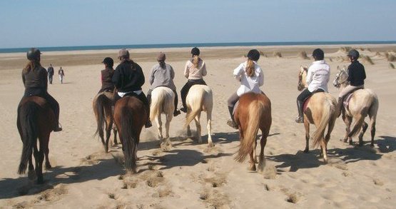 Randonnee à la plage - Club hippique et pension chevaux à Montpellier