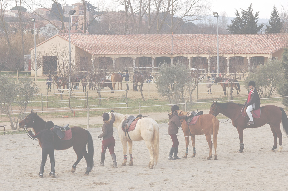 CE Pachka - Club hippique et pension chevaux à Montpellier